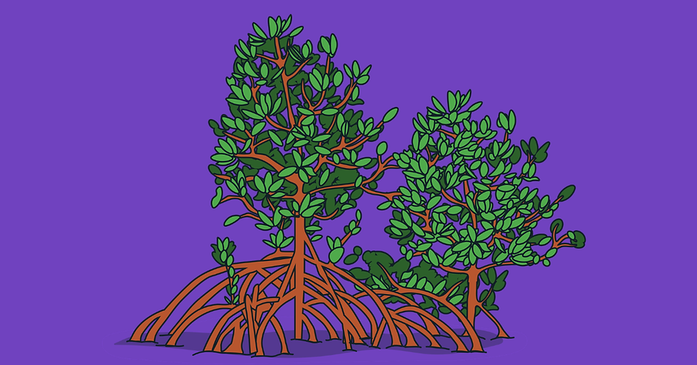Illustrated mangrove trees with interlocking roots, symbolising community and support.