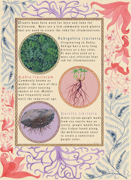 Illuminated Pigments