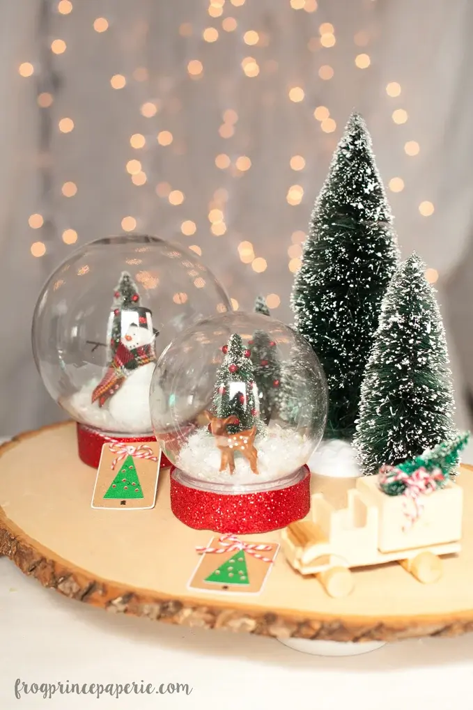 Snow Globes