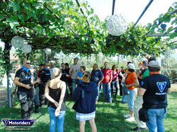 Στην γιορτή του τρύγου