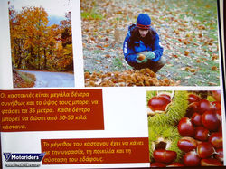 Γιορτή κάστανου 2015 - Καστάνιτσα