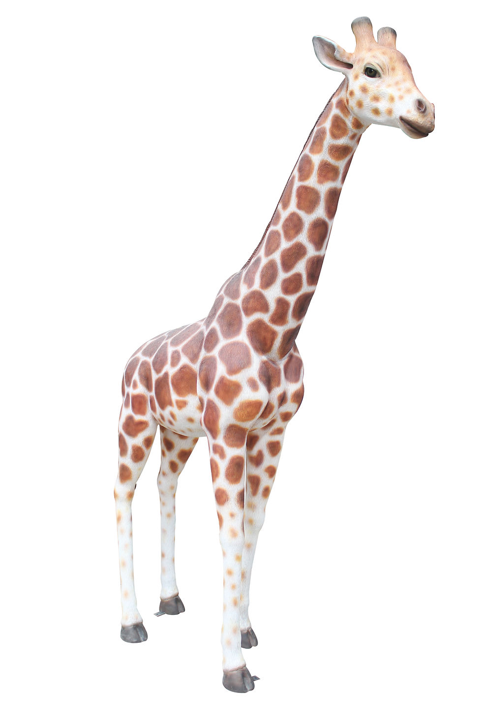 Thumbnail: Giraffe 8 Feet