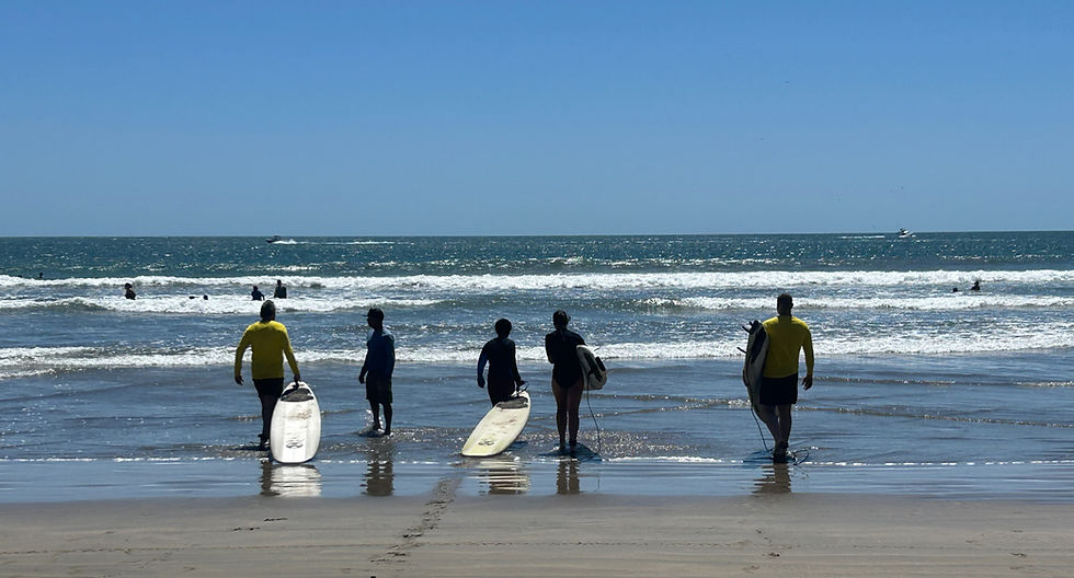 Surfing lessons