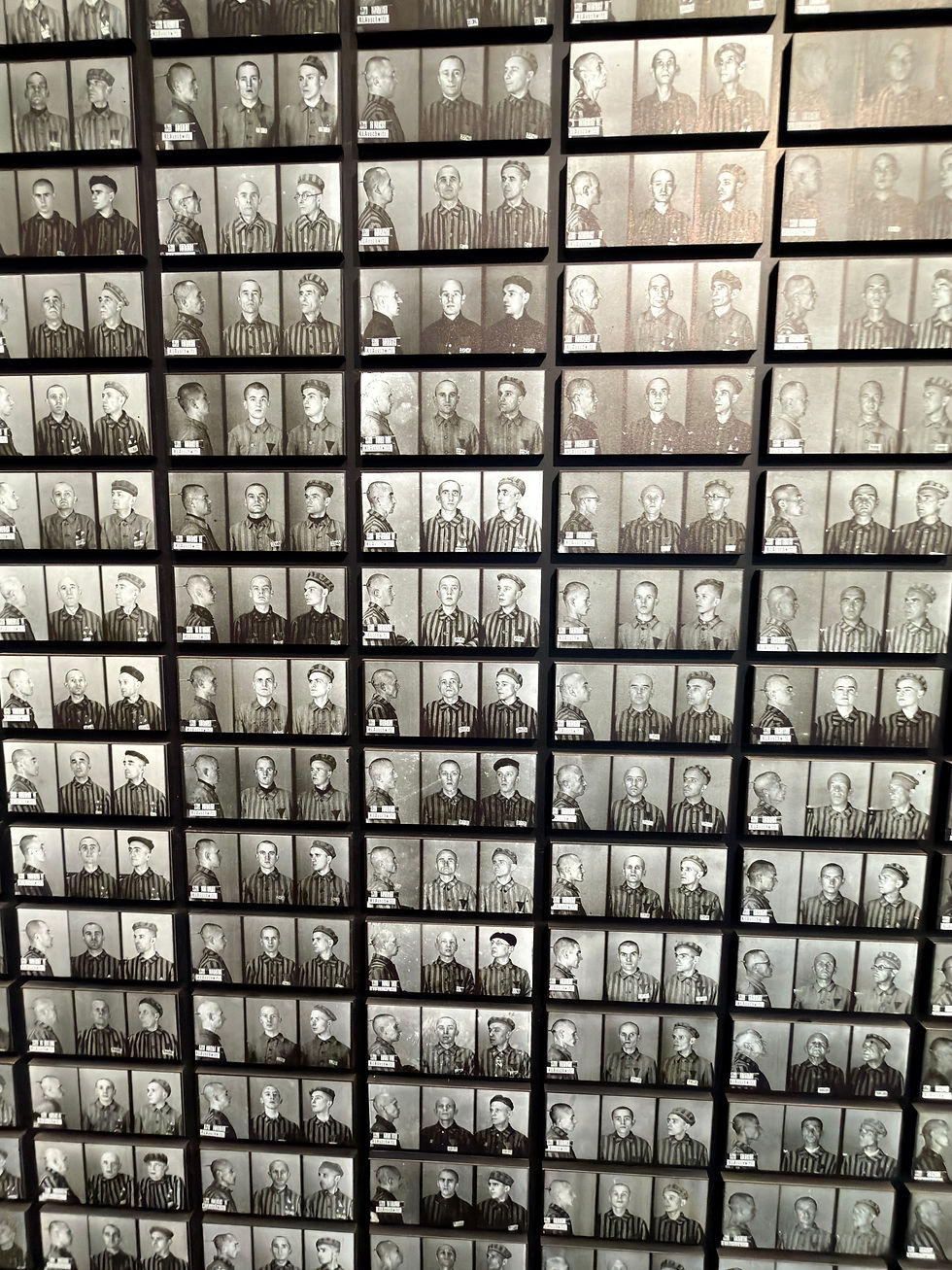 This is a new exhibition. These are photos of prisoners brought into Birkenau, none of these people survived. Most prisoners died within days or weeks due to starvation, gas chambers or illness.