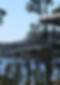 Treetop NZ