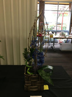 Picture11