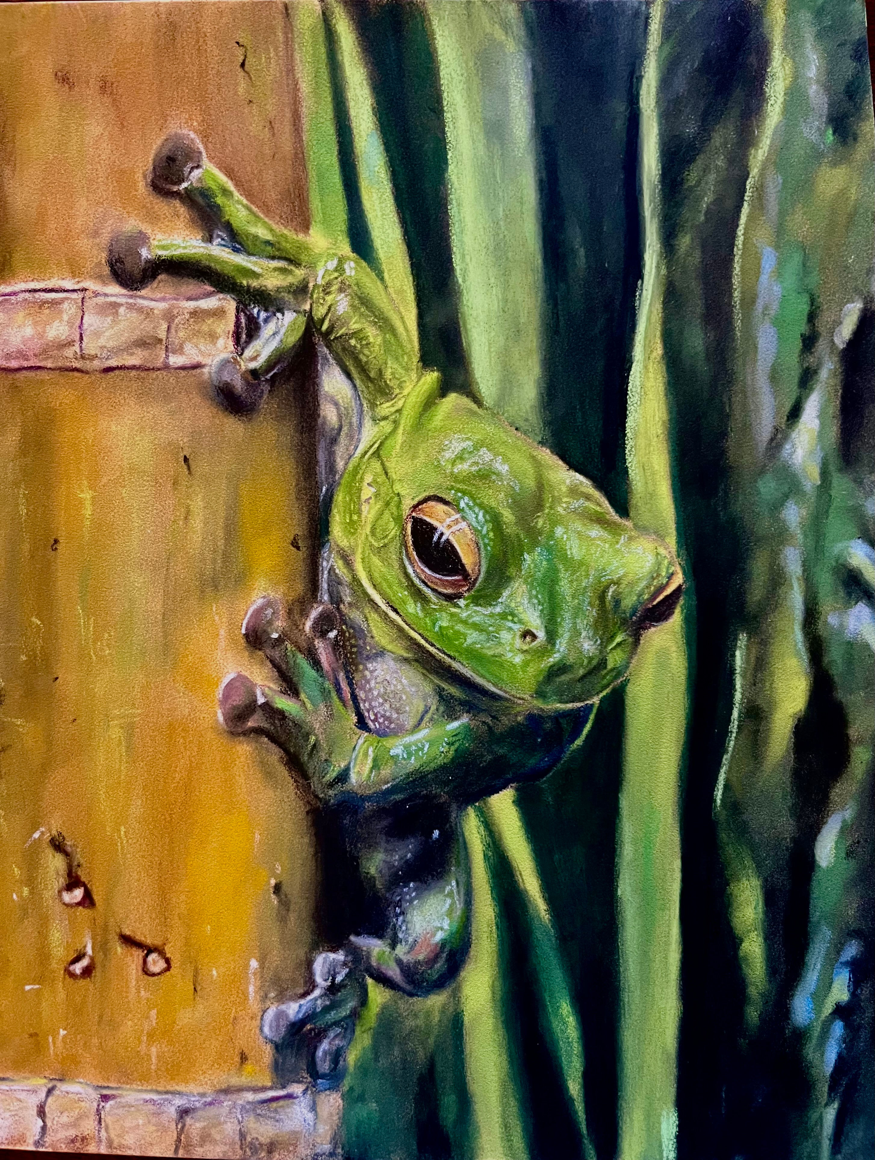 Bamboo Frog