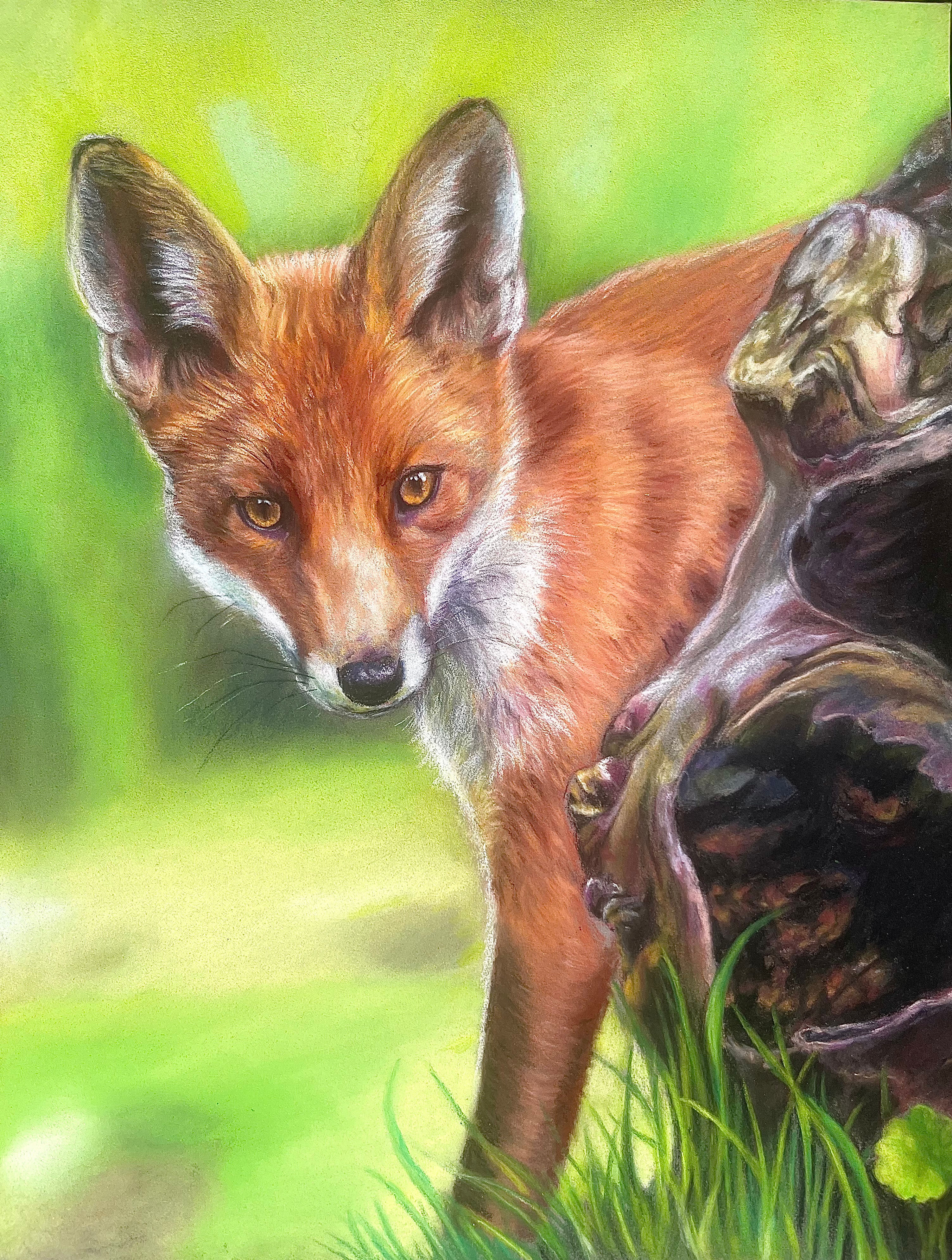 Red Fox 9.5x12"