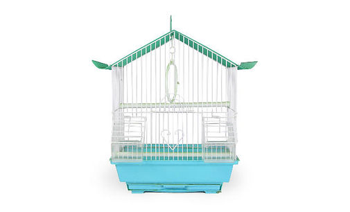 Blue Bird Cage