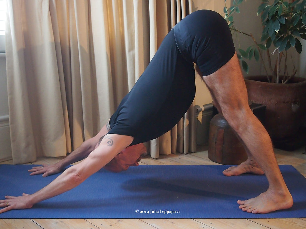 Adho_Mukha_Svanasana.jpg
