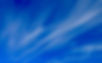 P1011919_edited.jpg