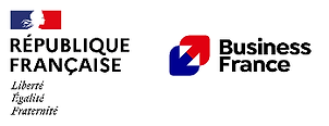 Business France Logo