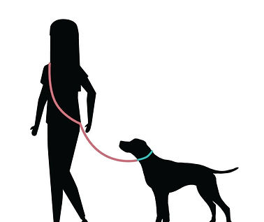 Silhouetted image of a person walking on the left and dog on the right. There is a red leash that goes over the person's shoulder and across the body and attaches to the dog's collar.