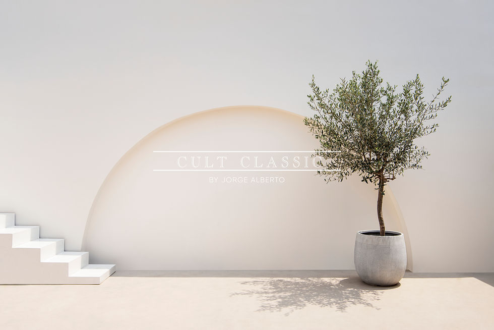 Discover creative tips and ideas on how to incorporate fine art photography prints from Cult Classic By Jorge Alberto into your home decor. Enhance the aesthetic of your living spaces with these inspiring ideas.