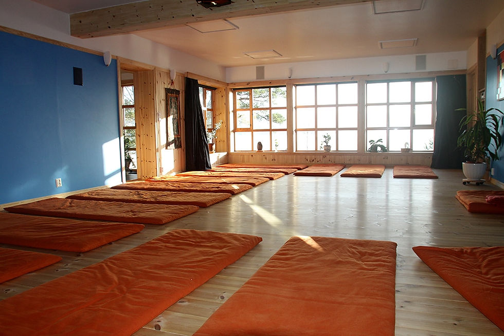 Dagsretreat: Yoga, badstu og sjøbad.