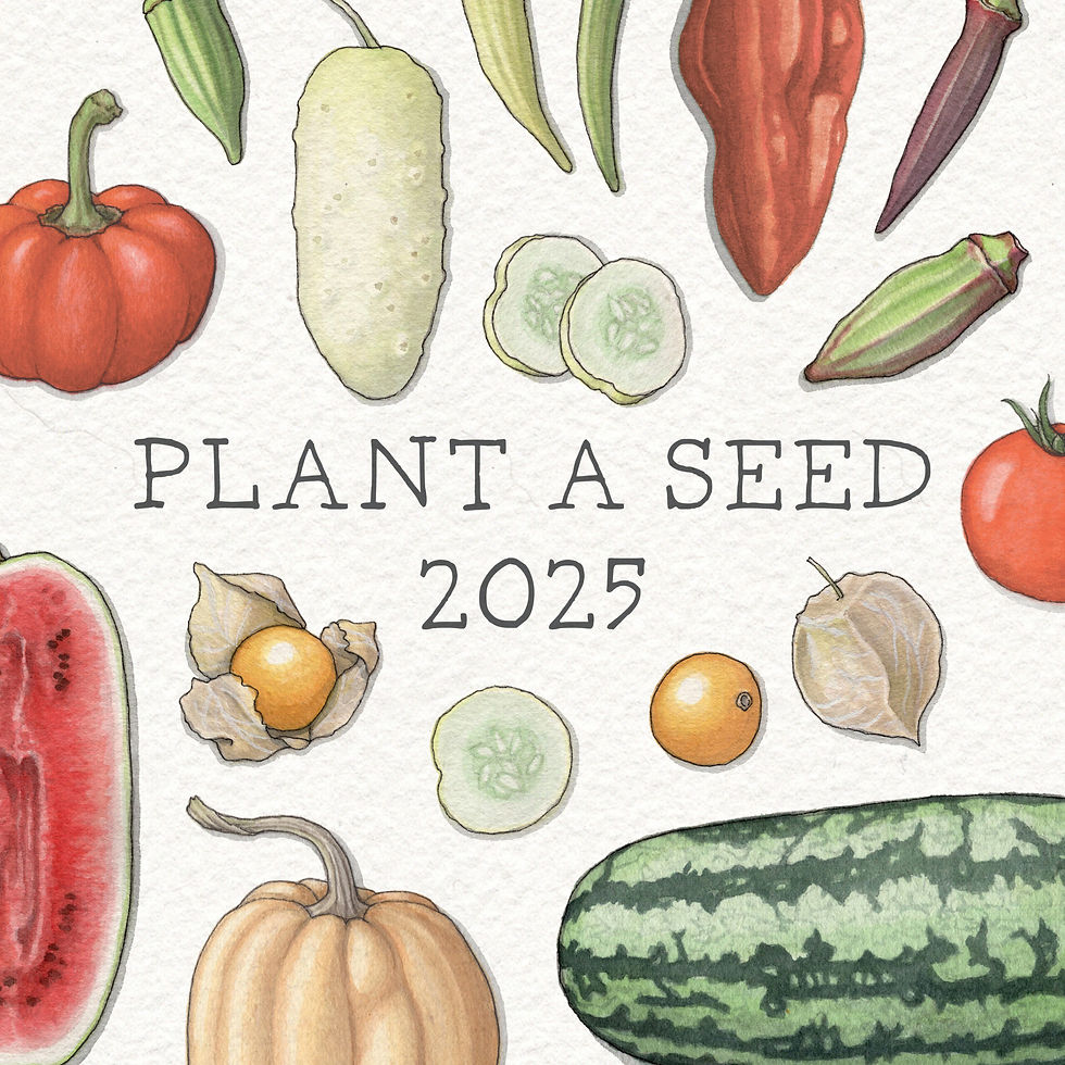 A Taste for Change: Celebrating Seeds, Soil & Slow Food (at Sunflower Farm)