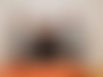 Knin stvara svoje vinogorje