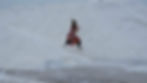 316008380_2094984534222521_338180079469784_n_edited.jpg