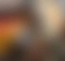 El material de los asientos en los BMW