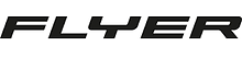 flayer.png