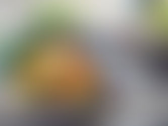 Pad Thaï aux crevettes avec nouilles konjac ou Shirataki