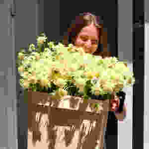 Schuppenköpfe, Blume, Blumenpost, Schweiz
