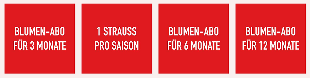 geschenk schenken blumenpost blumen lieferung blumen im abo blumenabo weihnachten