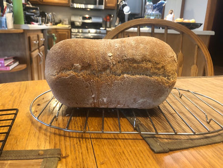 Honey Whole Wheat Bread