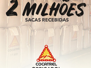 Cocatrel ultrapassa a marca recorde de 2 milhões de sacas recebidas