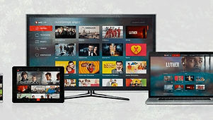 MTS-TV_edited.jpg