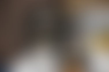 How to Stop Puppy Biting/Mouthing