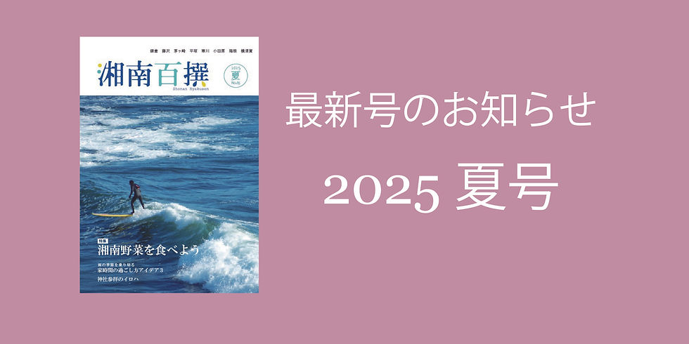 湘南百撰65号