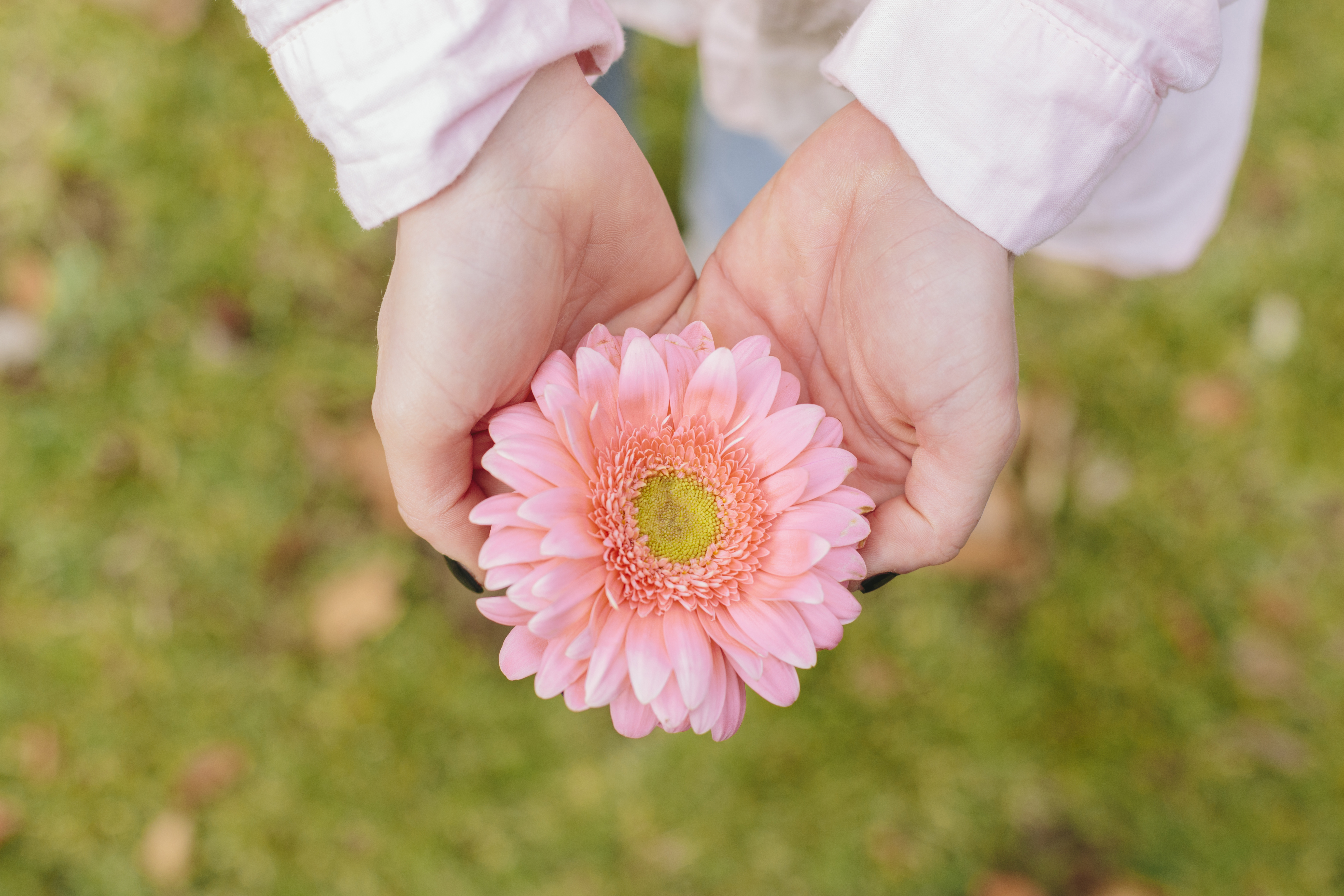 person-holding-flower-hands.jpg
