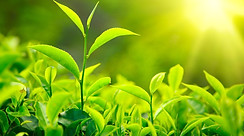 bien-phap-khac-phuc-nguyen-nhan-vo-sinh-