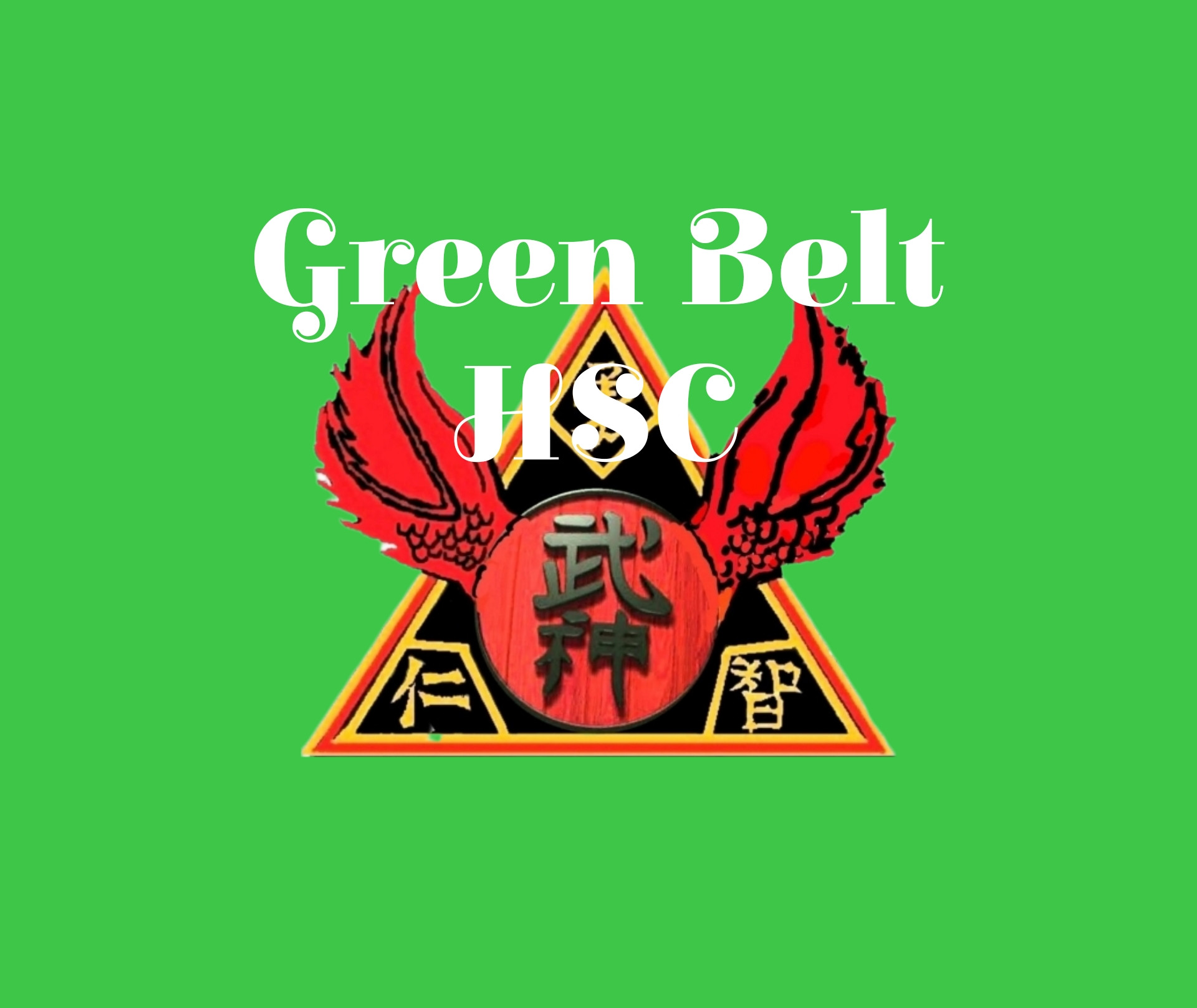 Orange Home Study Course (orange to green belt)) 7th to 6th kyu