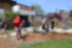 garden.jpg
