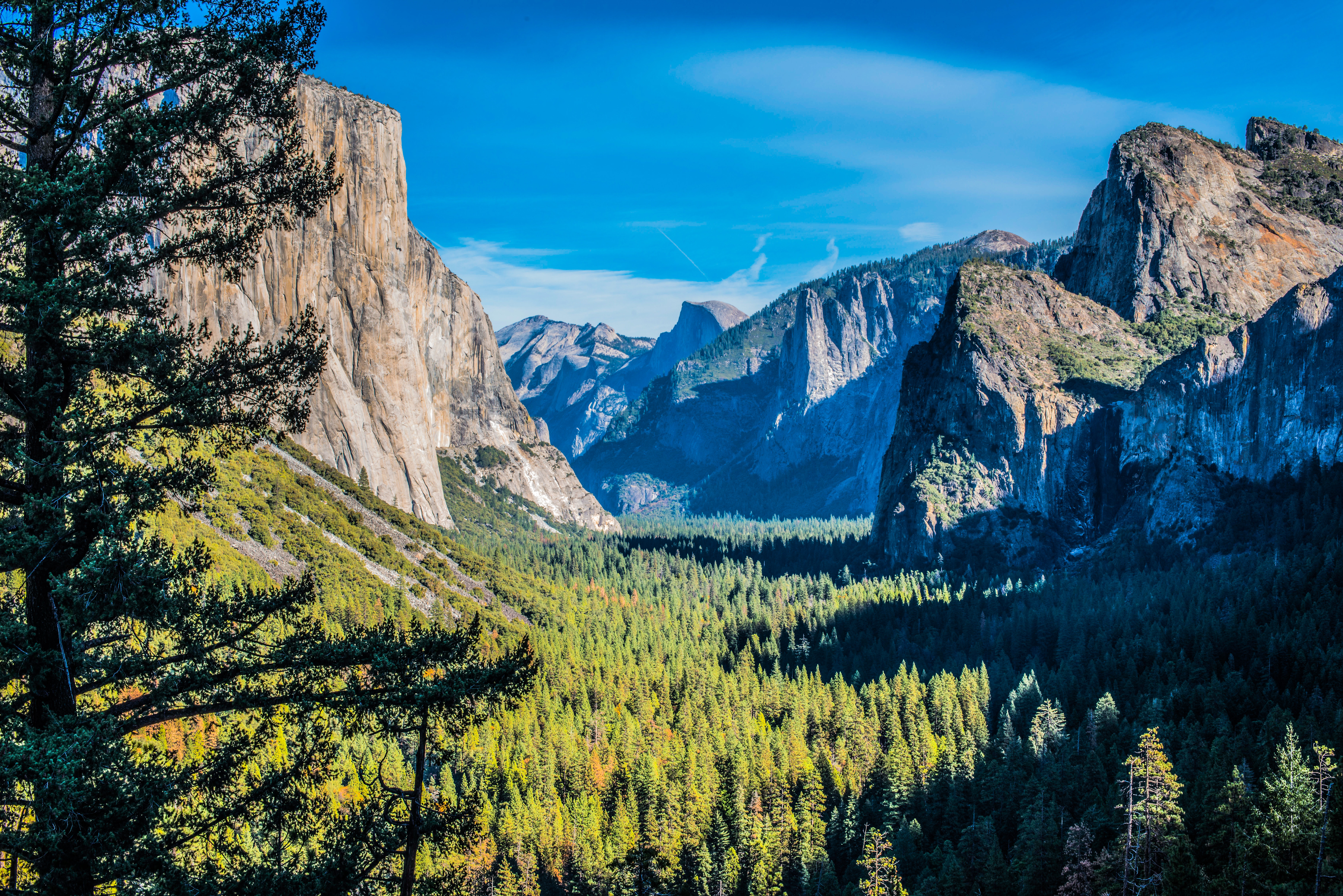 8x10 Framed Yosemite National Park (Summer)