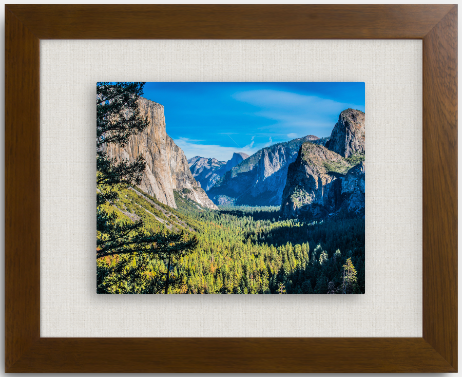 Thumbnail: 11x14 Framed Yosemite National Park (Summer)