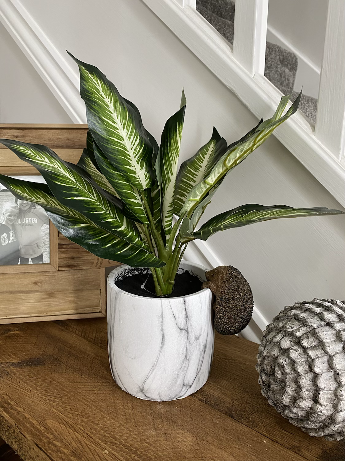 Artificial Variegated Leaf Dieffenbachia House Plant