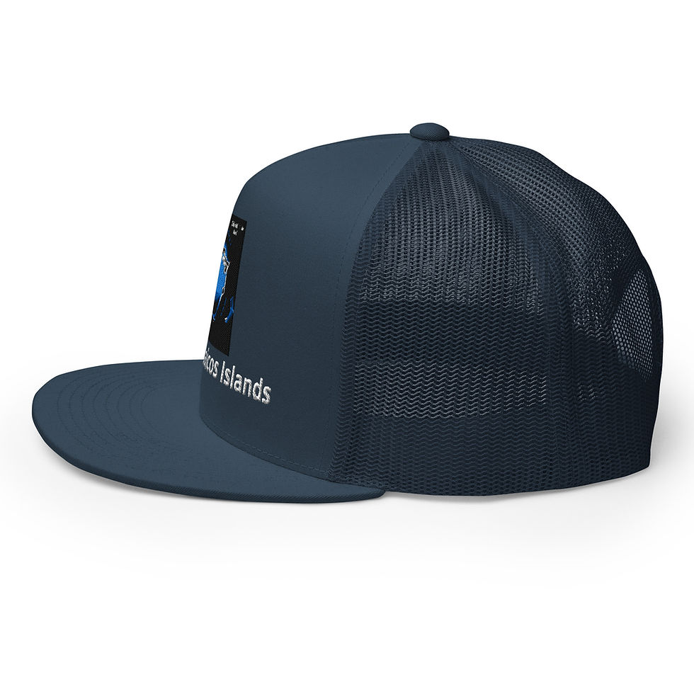 Thumbnail: TCI MAP Trucker Cap