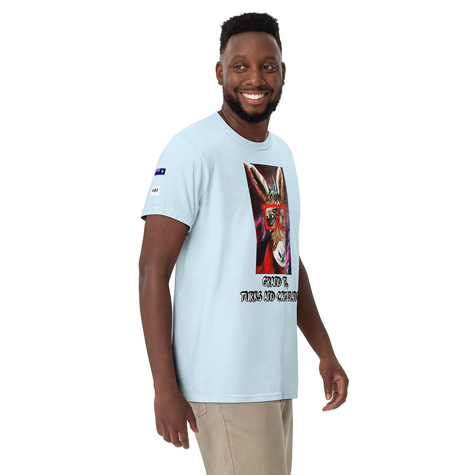 Thumbnail: GDT Donkey Unisex garment-dyed heavyweight t-shirt