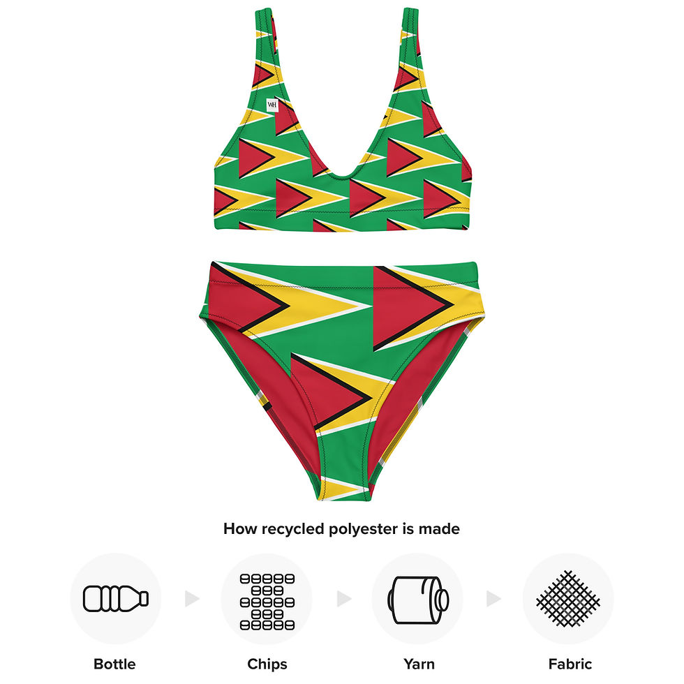 Thumbnail: GUYANA Recycled high-waisted bikini