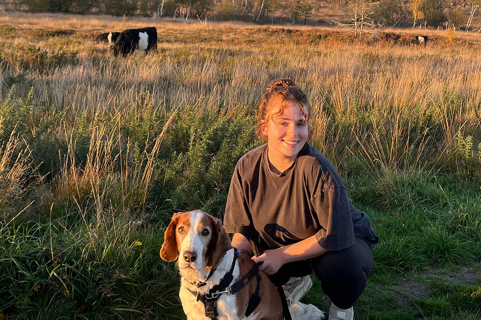 Choosing the Right Pet Care Provider: Key Factors to Consider