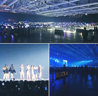 Large Scale Event , 大型活動, 演唱會, Concert