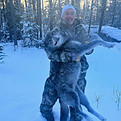 Blue Wolf_edited.jpg