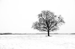 Sortie Neige 1-mars-18-1