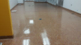 flakefloornorthvilletomandchee (002).jpg