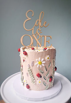 Ladybird Birthday Cake Berkhamsted