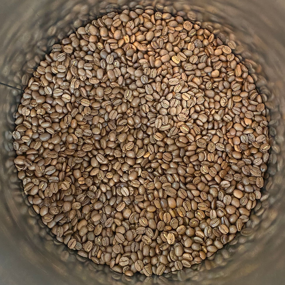 La conservation du café