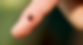 png.png